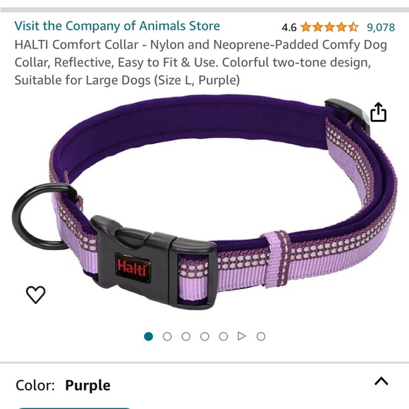 Purple padded collar - Picture 1 of 1